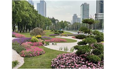 來現(xiàn)場打卡，感受“美麗無錫”的美好